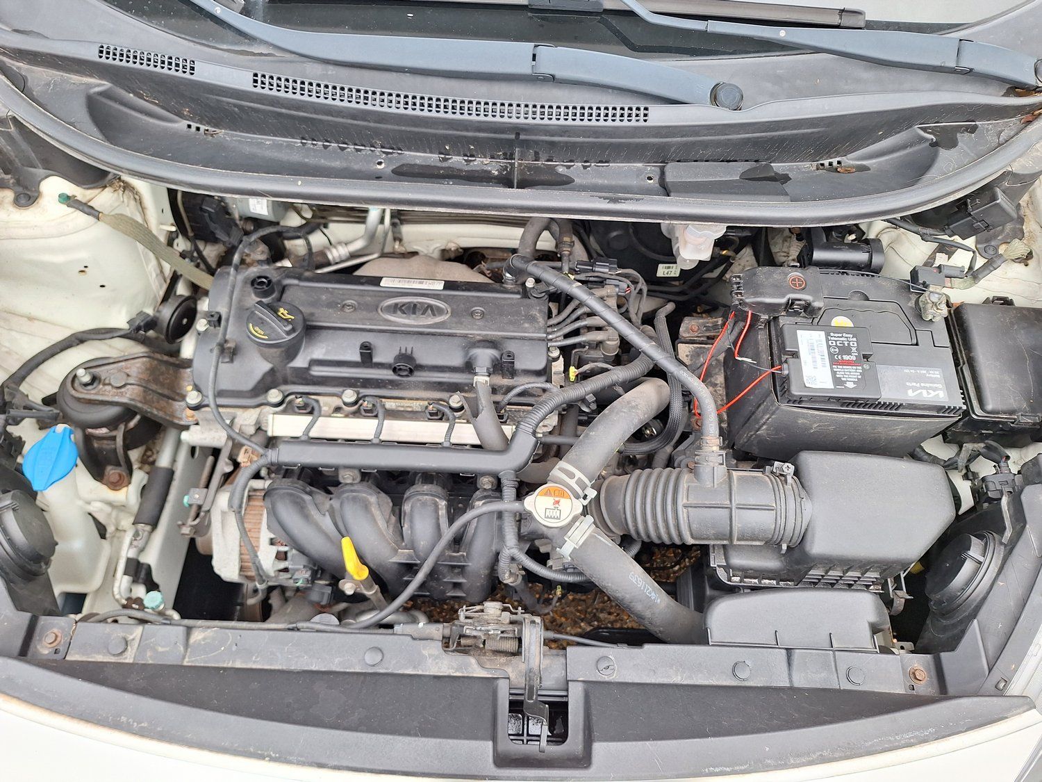 Kia Rio foto 15